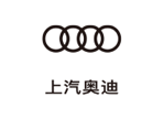 ag亚娱集团(Asia Gaming)奥迪